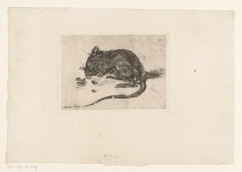 Mouse