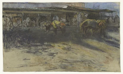 Pack Donkeys at the Grand Market in Tangier