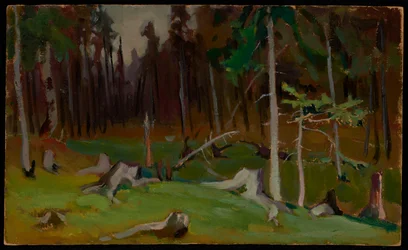Clearing in the Forest