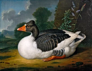 A Goose in a Landscape