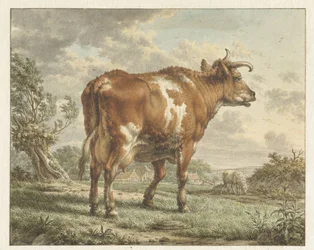 Red Pied Cow in a Landscape