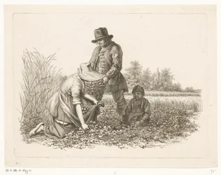 Potato Diggers