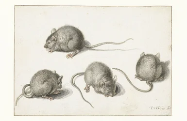 Four Studies of a Diseased Mouse