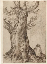 Study of a Tree Trunk