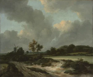 Grainfields