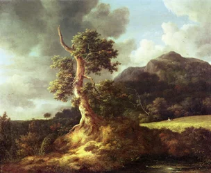Unknown Image