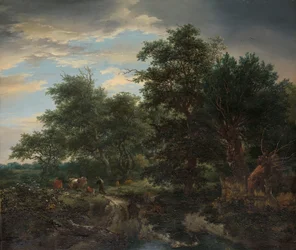 Forest Scene