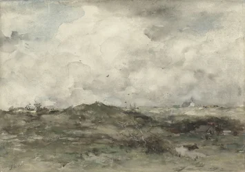 Dune Landscape