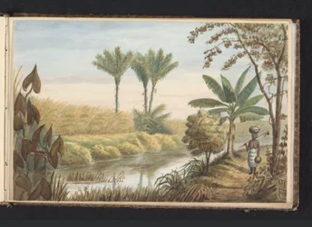 View of Field with Sugarcane Plantation Visserszorg (series title: Album with Drawings of Suriname, p.7 (50))