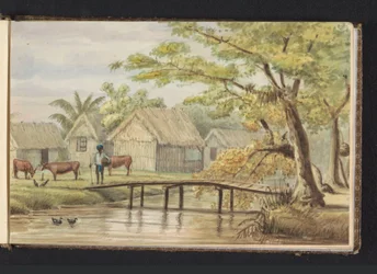 Slave Dwellings on the Sorgvliet Coffee Plantation. Slave Dwelling (title on object). View of the Blackhuizen on the Sorgvliet Plantation (title on object). Album with Drawings of Suriname, p. 5 (50) (series title)