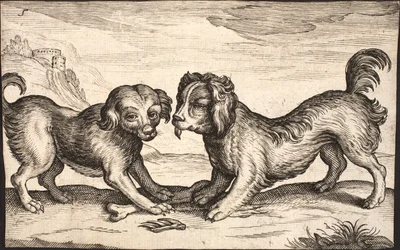 Two Small Dogs