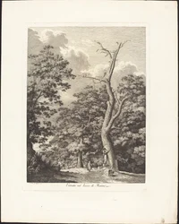 Entrance into the Woods of Marino