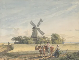 Landscape