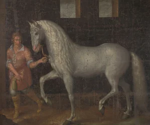 Spanish Warhorse Captured by Lodewijk Gunther van Nassau from Archduke Albert of Austria in the Battle of Nieuwpoort and Presented to Prince Maurits
