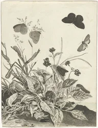 Plants with Butterflies and Caterpillars