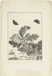 Flying Butterflies and Other Insects Above a Branch with Leaves