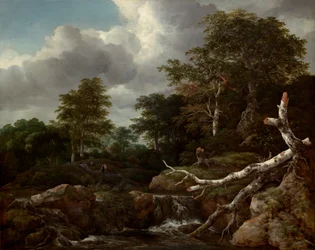 Forest Scene