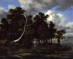 Oaks at a Lake with Waterlilies