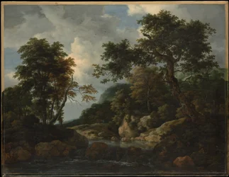 The Forest Stream