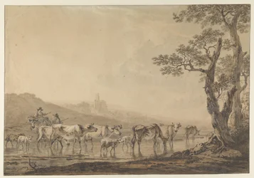 A Herd of Cattle Crossing a Body of Water