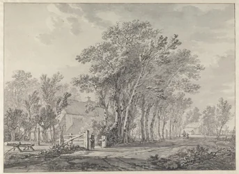 An Avenue with Tall Trees