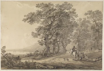 A Road with Tall Trees along a River