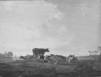 Resting Cattle on the Shore
