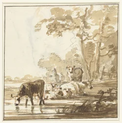 Resting Cattle at a Forest Edge by a Pool