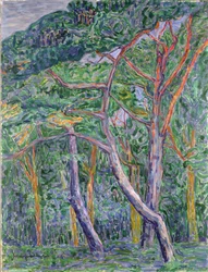 Pine Trees
