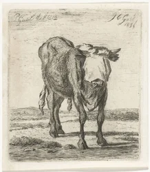 Blindfolded Bull