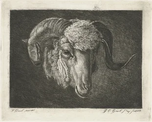 Head of a Ram with Curved Horns