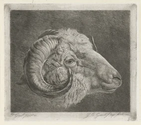 Head of a Ram with Curved Horn