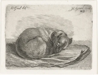Sleeping Dog Lying on a Blanket
