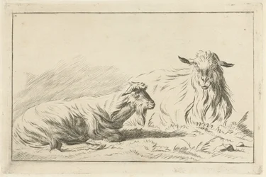 Two Lying Goats