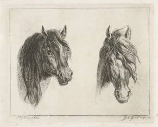 Two Horse Heads