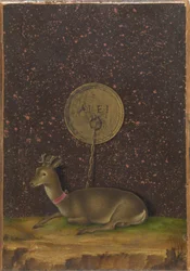 Portrait of Alvise Contarini; (verso) A Tethered Roebuck