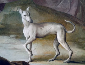 Dog (detail)