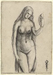 Nude Woman Holding a Mirror Allegory of Vanitas, c. 1503-1504