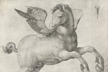 Pegasus, 1509-16