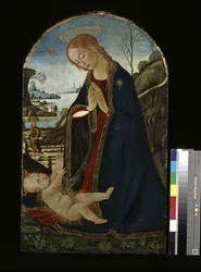 Madonna Adoring The Christ Child