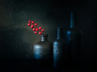 Moody Red Berries Still Life