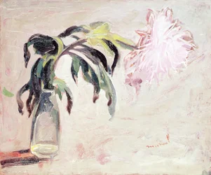 A Chrysanthemum in a Bottle