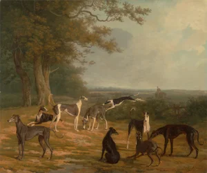 Nine Greyhounds in a Landscape