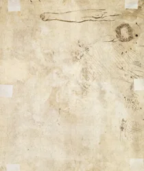 Study of a Leg, Flourish, and Doodles, 1610-17