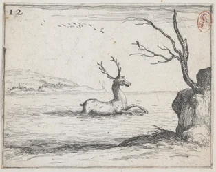 A Stag in the Water, No. 12 from the Series