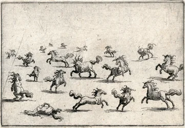 Caprices of Various Figures