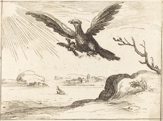Eagle and Young