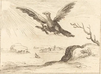Eagle and Young