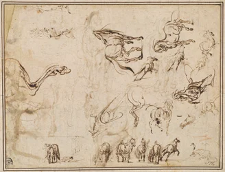 Studies of Horses