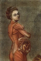 Anatomical Illustration in Colour of a Pregnant Female